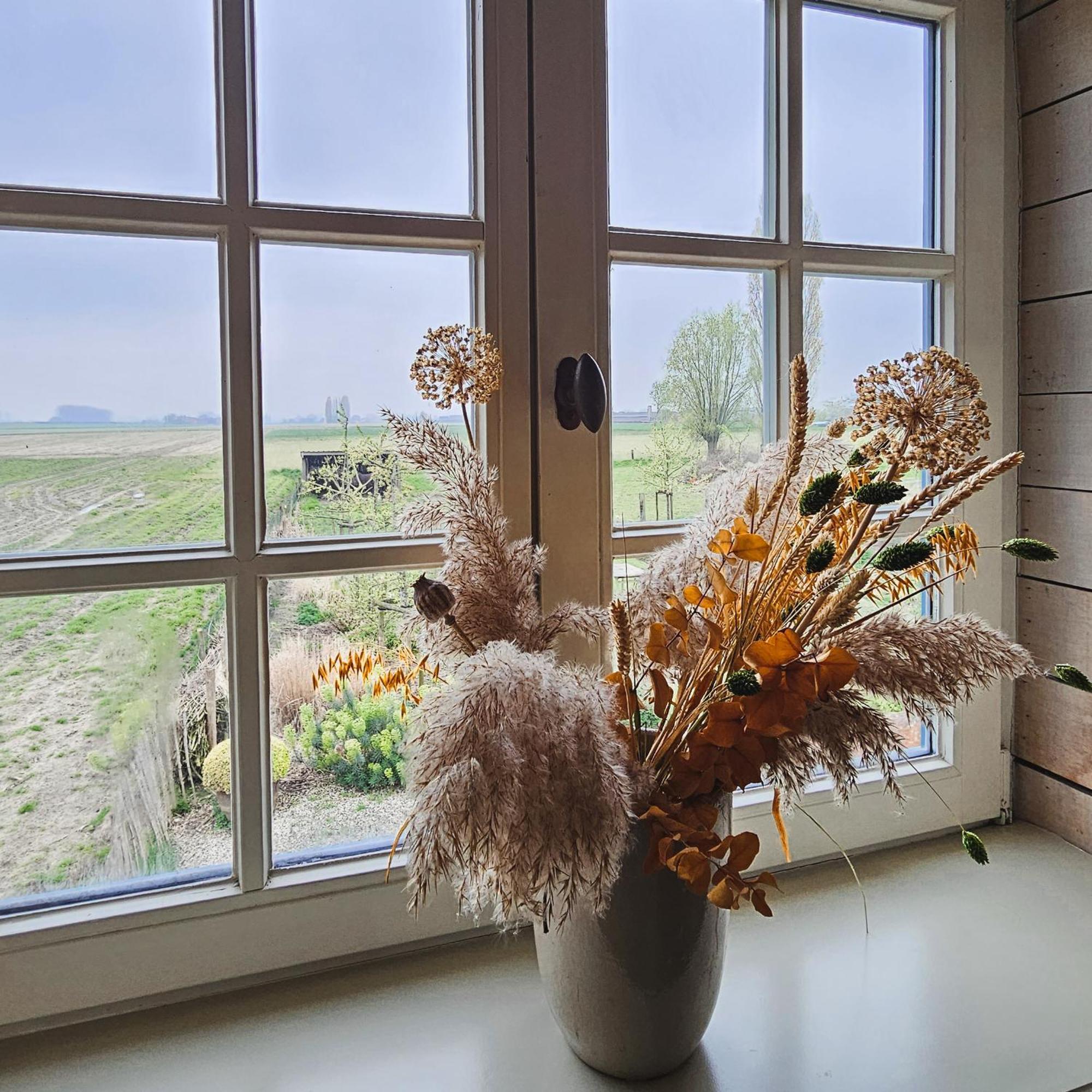 Boutique B&B Droomkerke Ruiselede Kültér fotó