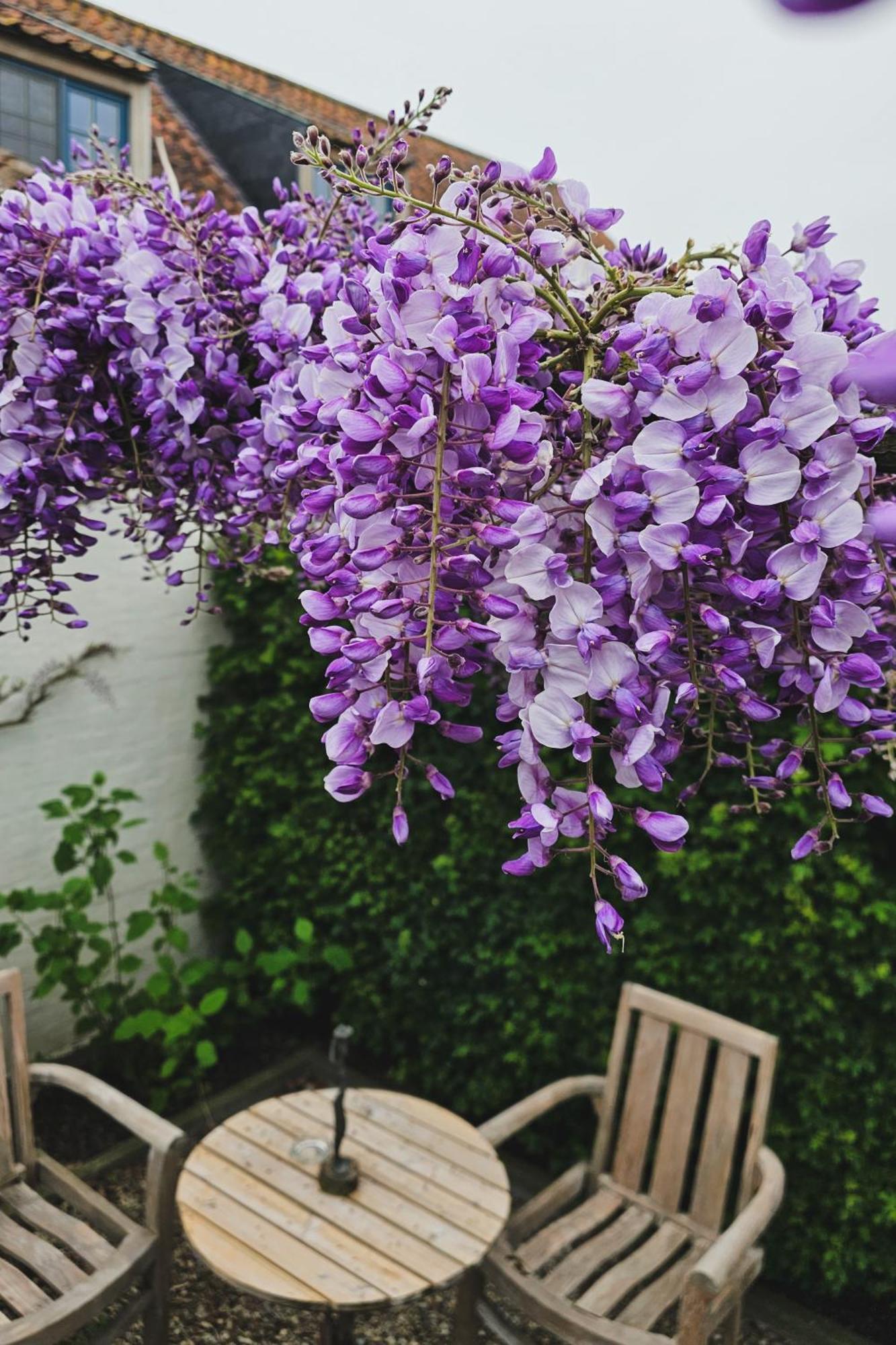 Boutique B&B Droomkerke Ruiselede Kültér fotó