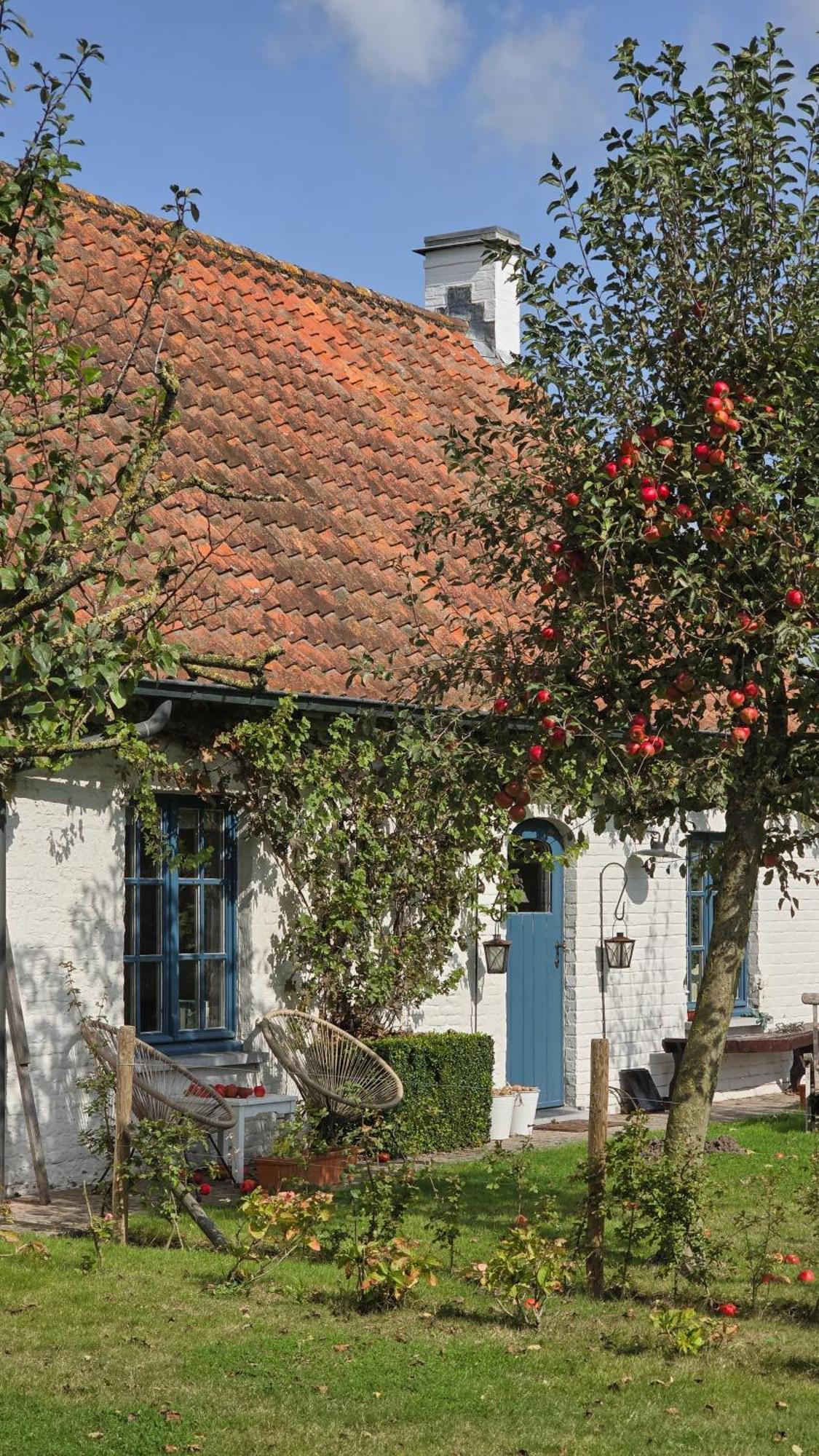 Boutique B&B Droomkerke Ruiselede Kültér fotó